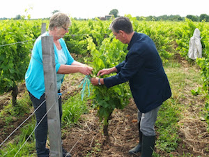 rent a vine gift in France