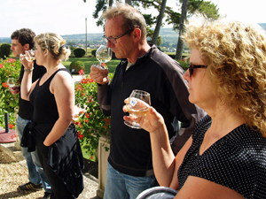 Rent-a-vine and wine tasting gift in Santenay, Burgundy