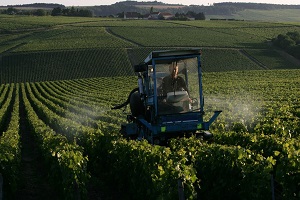 Biodynamic treatment in the Chablis vineyard France