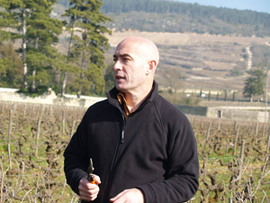 Vine pruning experience Burgundy