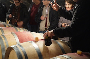 Wine tasting 2013 vintage Burgundy