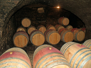 The cellar
