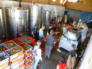 Harvest Wine Storage