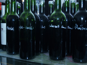 Wine tasting by grape varietal, Merlot, Cabernet Sauvignon, Malbec and Petit Verdot