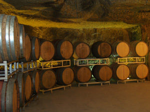 Vines Wine Winemaker Vineyard Cellar
