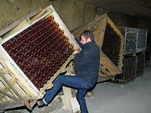 In the cellar