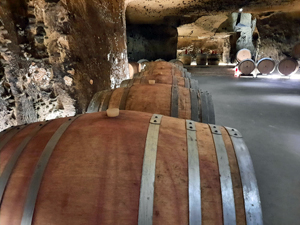 Wine Experience Days in the Loire Valley to discover the work in the cellar 