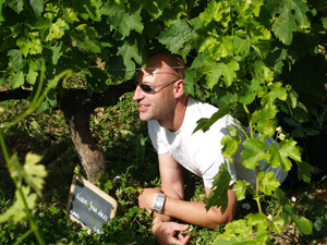 Adopted Vines Vineyard Bordeaux Beau Rivage