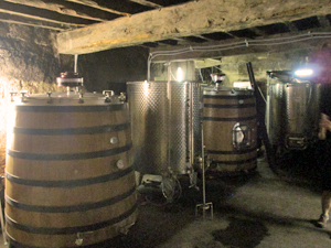 Learning about the fermentation of wine 