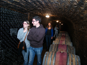 Visit of the cellar