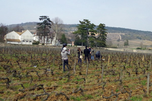 Gift visit a vineyard in France and make your own wine
