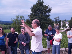 Understanding the vineyards and terroir of Burgundy