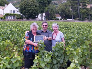 Rent a vine in a Burgundy vineyard