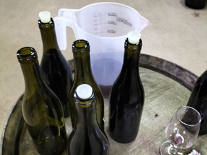 Discover how to produce wine during a vintage
