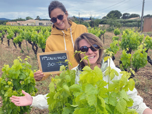 Wine experience day withe Gourmet Odyssey in the Languedoc
