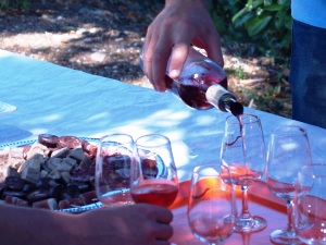 Wine Tasting Claret, Château Beau Rivage and Clos de Bohème