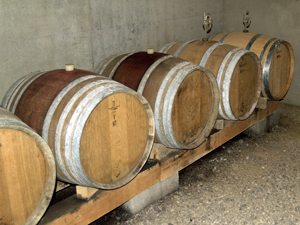Pinot noir wines ageing in oak barrels