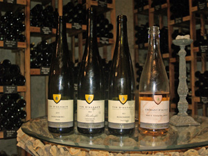 Taste organic french wine