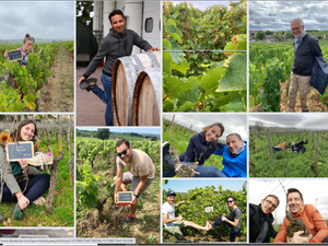 Winery tour and wine-making experience in France