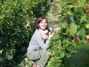 Vineyard experience, France