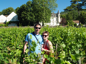 Adopt-an-organic-vine in Burgundy, France