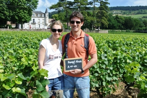Rent a vine in Burgundy, France