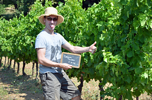 Rent a vine in Languedoc, biodynamic, France
