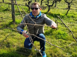 Adopt a vine france, Loire Valley