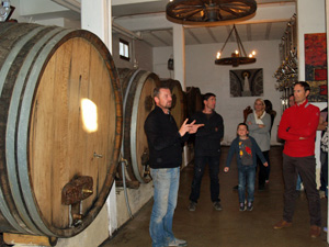 Wines fermenting in the cellar