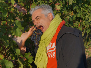 Rent-a-vine gift. Wine-making experience and harvest near Bordeaux