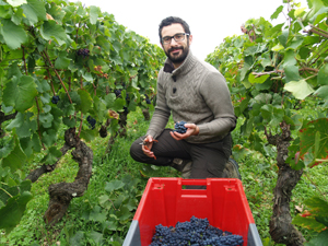 Vineyard experience in France, Burgundy
