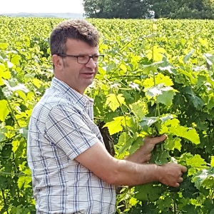 Winemaker in Chinon, Loire Valley, France