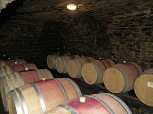  Visiting the cellar to see where the wines are aged in oak barrels