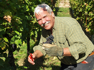 Adopt-a-vine and learn how to make wine in an award-winning organically certified winery in Alsace, France