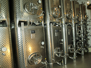 Organic wine cellar tour in Alsace