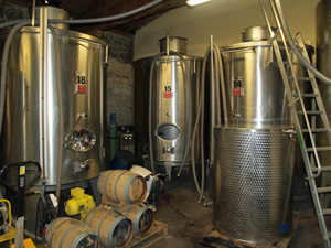 Learning how wine ferments
