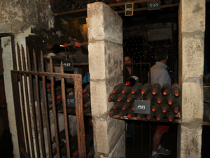 Cellar tour in Saint-Emilion with the wine-maker