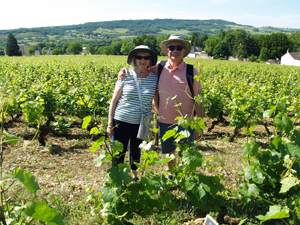 Adopt your own vines and follow the making of your own personalised bottles of wine