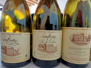 Taste organic wines in Burgundy with the winemaker
