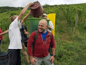 Harvest gift experience in France to pick grapes