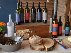 Organic wine tasting and winery tour in Languedoc, France