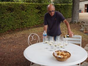 Winery visit and tasting in Santenay, Burgundy