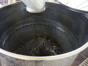 Wine-making and vine adoption experience in France