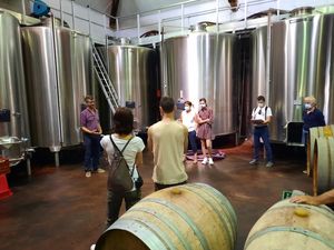 Wine making experience at the winery in france