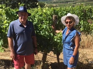 Organic vine adoption in Pézenas, France