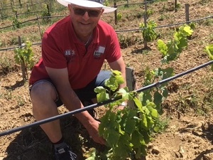Work in the vineyard gift box in Languedoc, France