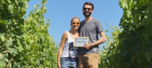Adopt your own organic vines for the 2021 vintage