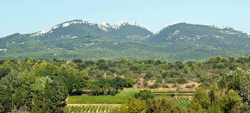 Wine Experience in the Rhone Valley