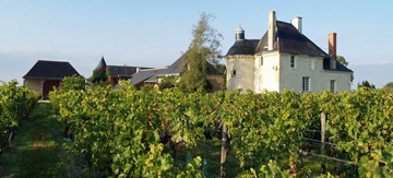 Wine Experience in the Loire Valley
