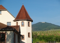 Alsace Domaine Stentz-Buecher, Wettolsheim